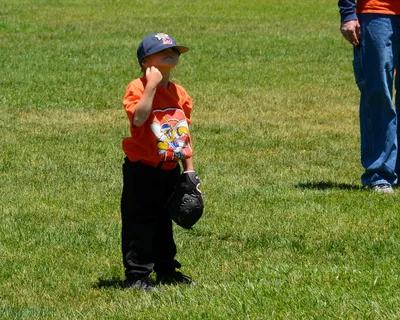 DSC_9832 (Large).JPG